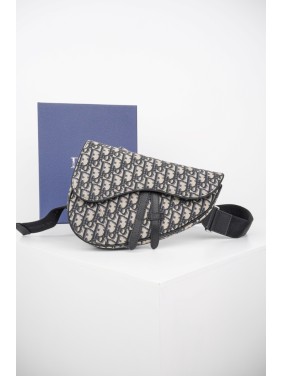 DIOR Full-Coverage Oblique Canvas Saddle Bag