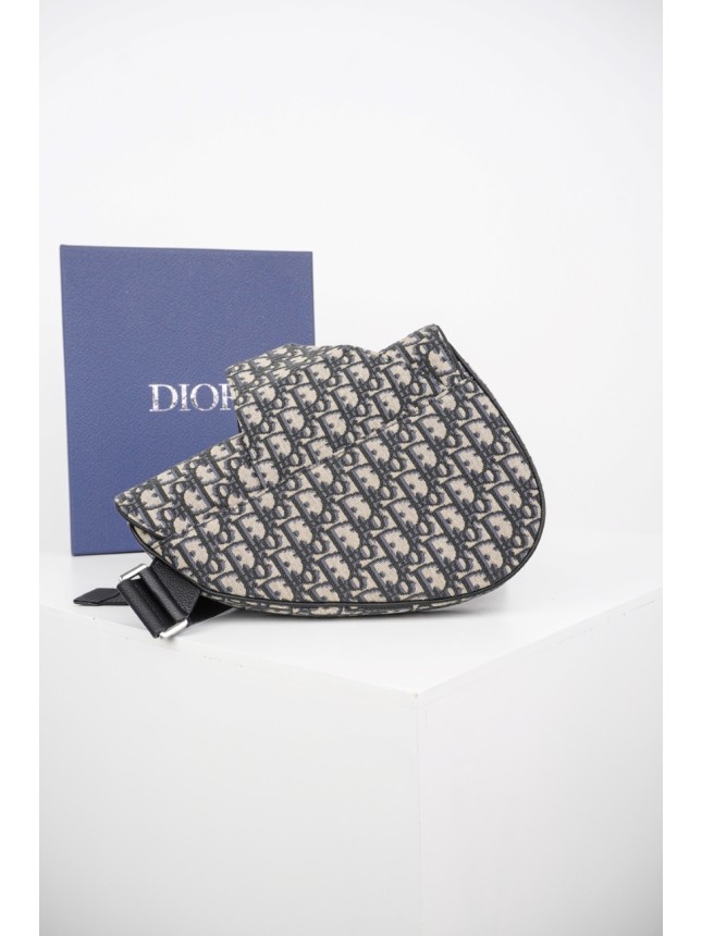 DIOR Full-Coverage Oblique Canvas Saddle Bag