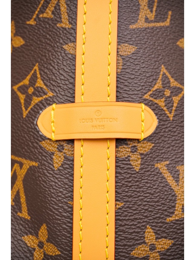 Louis Vuitton Monogram Carryall Small Tote with Detachable Pouch