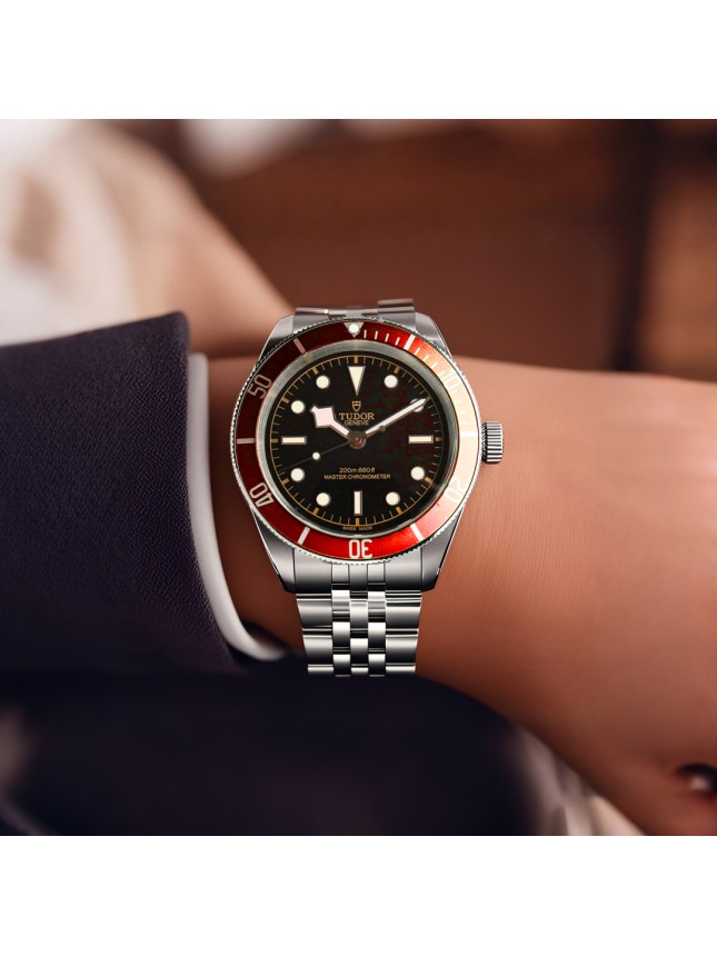 Tudor Black Bay Series