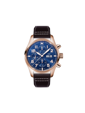 IWC Pilot's Watch series IW378003