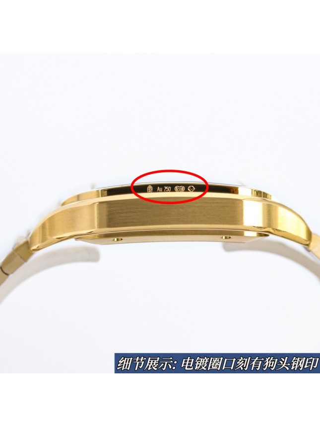 Cartier Santos Series Watch
